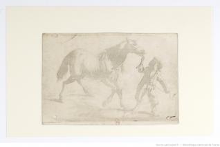 Nicéphore Niépce, cheval avec son conducteur, 1825, source Gallica